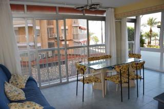 Apartamento en el Paseo Marítimo de Benidorm - Benidorm - 1