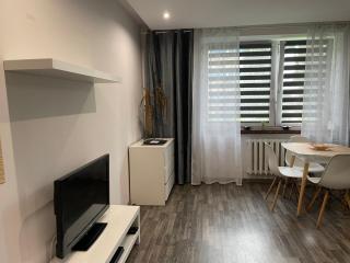 Apartament Gospodarcza - Sosnowiec - 4