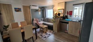 Mobilhome 2 ch,1 salon 40m2 de Charme dans camping *** - Saint-Julien-en-Born - 9