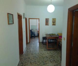 Vila M Vera Rooms with kitchen and Apartments - Durazzo - 3