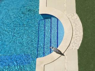 3 min walking to Peneco Beach Albufeira - Albufeira - 0