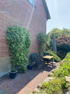 Andrea's Ferienwohnung - Brietlingen - 9