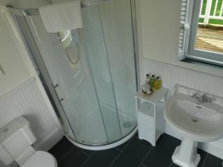 Pencubitt House - Liskeard - 9