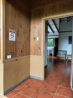Iguana Libre - Dominical - 6