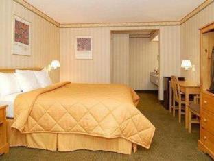Stanford Inn & Suites Anaheim - Anaheim - 6