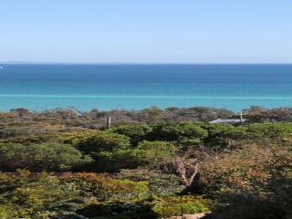 Bay Views On Browne - Dromana - 4