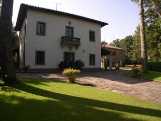Villa Montignoso - Castagno - 5