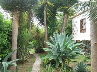 La Casita de la Vega - 4