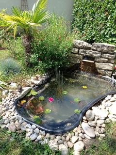 L'Albizia Gîte Climatisé St Maurice - 2