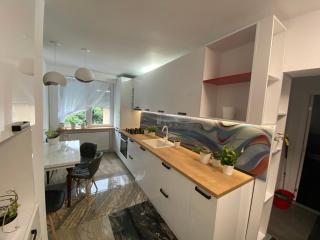 Bastion Apartament 4 - Timişoara - 5