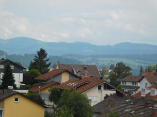 Oh-Apartment Lindenberg - Lindenberg im Allgäu - 1