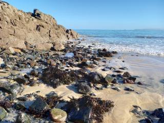 Stargazy Shepherds Hut - 1