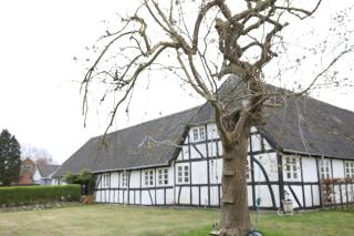 Tøndegården 2 rooms apartment - 9