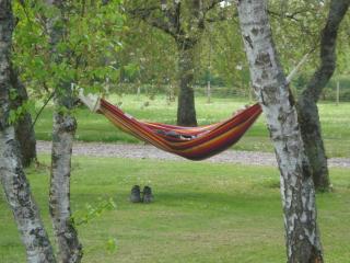 La Maison du Cerf - 4