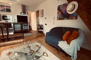Brive centre, superb appartement en face du Marché Primé - Brive-la-Gaillarde - 7