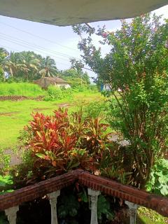 Cabo De Rama Cottage - Cola - 8