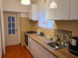 Rene's Leisure Apartment - Bucarest - 2