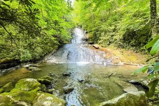 NEW FOREST COTTAGE W/GRILL & DECK:HIKE, FISH, GOLF - 7