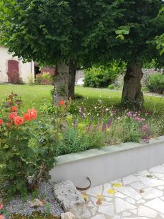 Les 7 Tilleuls - Chambres d'hôtes - Mesland - 4