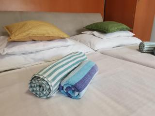 Rózsa Apartman - Gyula - 9