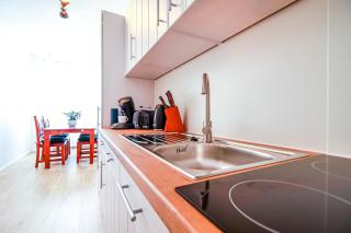 Löwe Apartment Grün Küssaberg am Rhein - 4