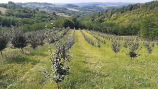 Vikend house - 5