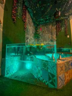 Cosmos Chill - Suite con jacuzzi y acuario - Ambato - 1