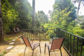 Dantica Cloud Forest Lodge - San Gerardo de Dota - 2