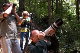 Dantica Cloud Forest Lodge - 6