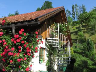 Haus Loidl - Sankt Gallen - 7
