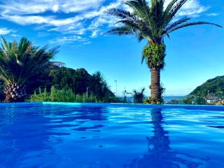 HOKULANI by the sea オーシャンビューのプール付き貸別荘 - 8