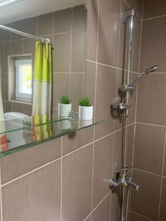 Vlajkovic apartmani 2 - Vrnjačka Banja - 6
