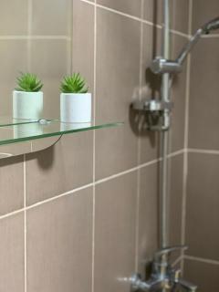 Vlajkovic apartmani 2 - Vrnjačka Banja - 8