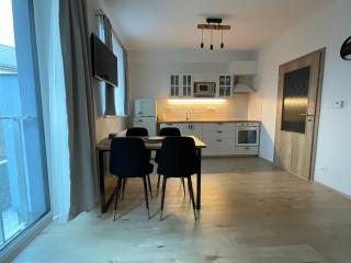 Útulný jednopokojový apartmán v alpském stylu na Klínovci - Loučná pod Klínovcem - 6