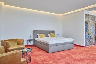 Hotel Hertz - Hradec Králové - 4