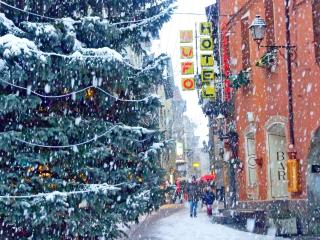 Hotel Gufo - Bormio - 4