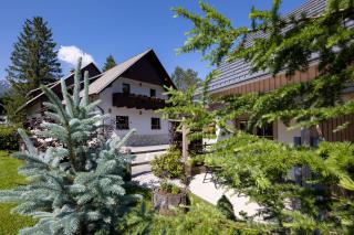 Apartments Alp - Bohinj - 7