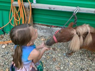 Luxury Orchid apartment with a garden in a private hotel complex Cascadas Bulgaria - 2