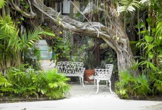 Eco-hotel El Rey del Caribe - Cancún - 7