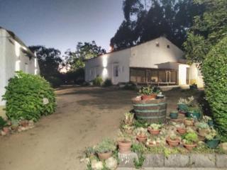 Quinta da Mesa - Macinhata do Vouga - 8