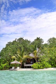Gangehi Island Resort & Spa - Gangehi - 4