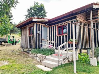 Casa das Aveleiras - Sátão - Sátão - 9