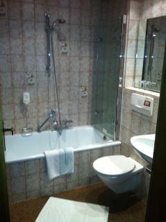 Hotel Garni Schmieder’s Ochsen - Seelbach - 9