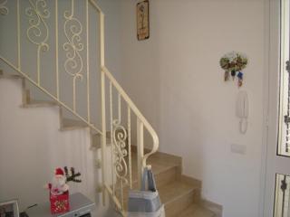 Casuzze Country - 1