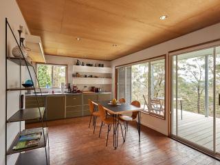 Tree Tops - Mount Wilson - 8