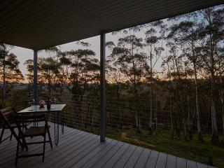 Tree Tops - Mount Wilson - 9