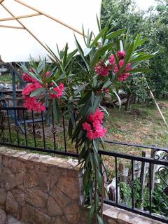 Goražde-Centar Apartment - 1