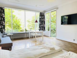 aday - Aalborg mansion - Studio with terrace and garden - Aalborg - 2