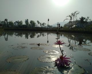 Exotica Beach Retreats Diveagar - Diveagar - 1