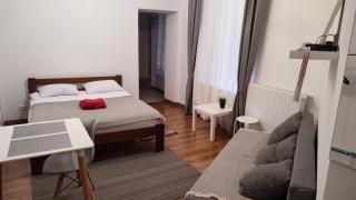 Center Cozy Studio - Lviv - 9